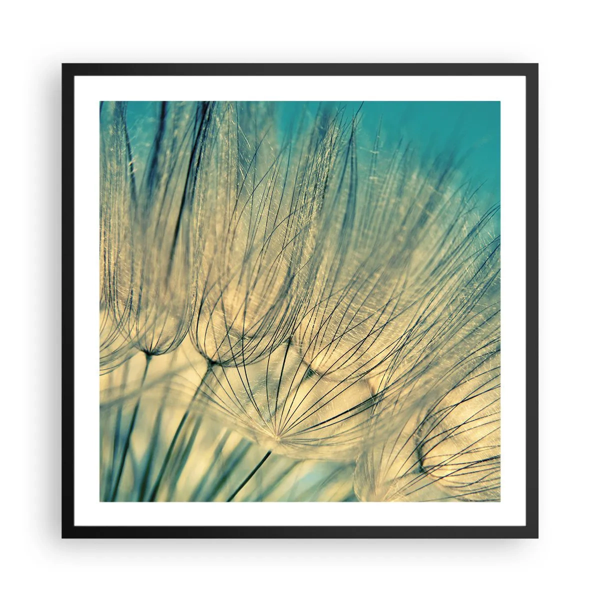 Poster in cornice nera - Aspettando il vento - 60x60 cm