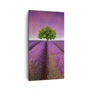 Quadro su tela - Stampe su Tela - Sui campi di lavanda - 45x80 cm
