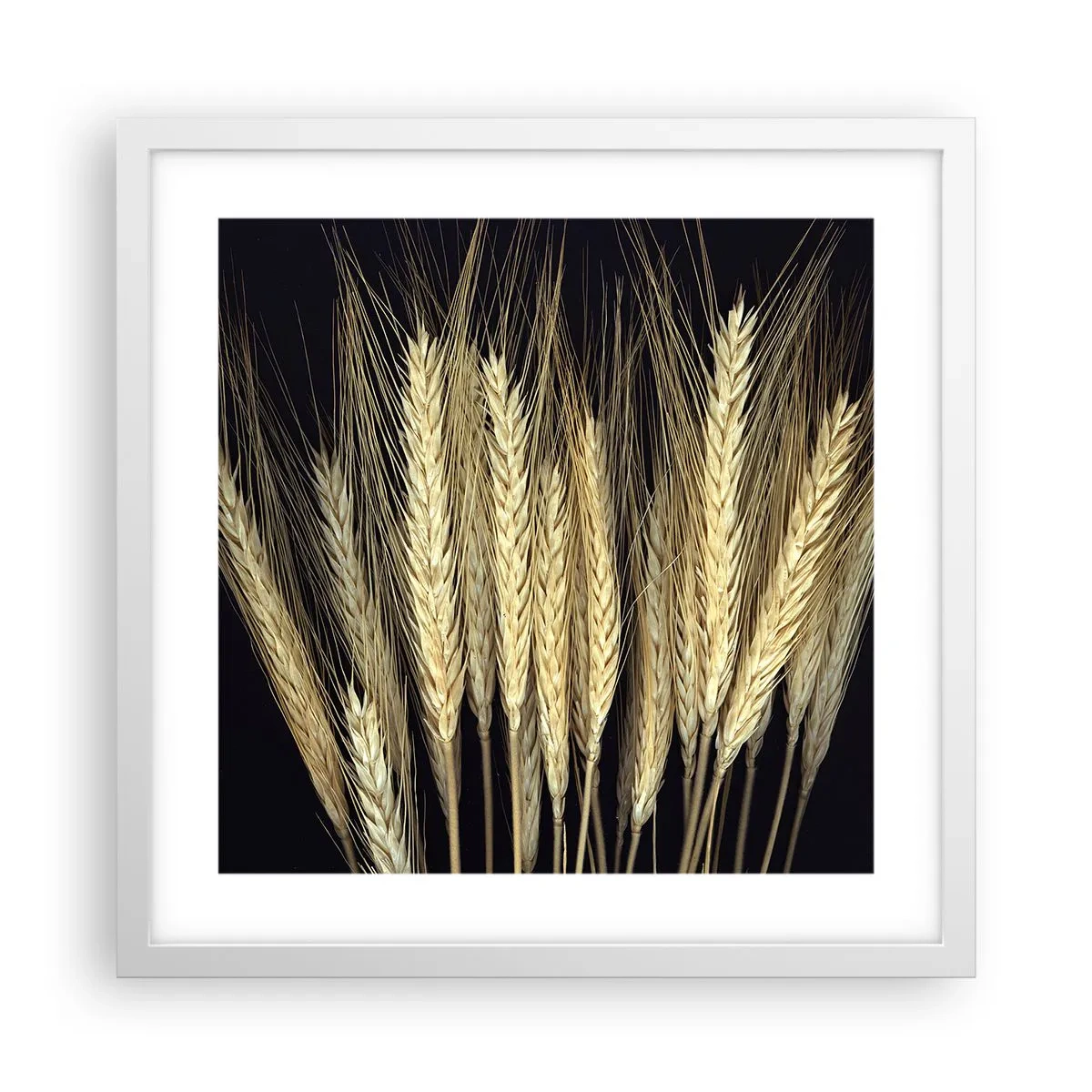 Poster in cornice bianca - Magia rustica - 40x40 cm