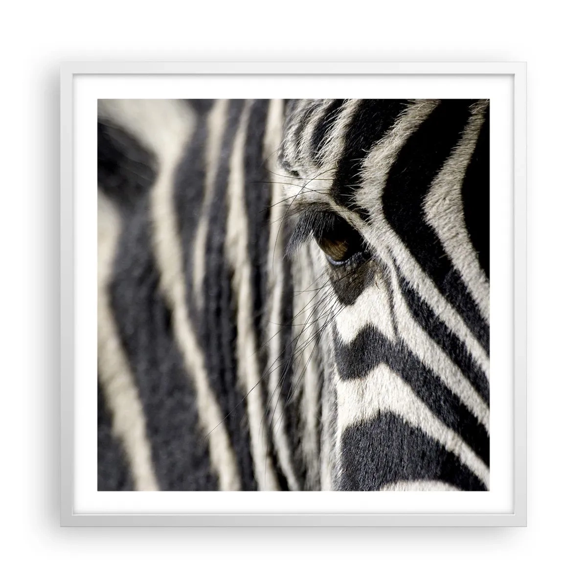 Poster in cornice bianca - Ritratto a strisce - 60x60 cm