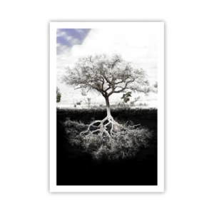 Poster - La scoperta della natura del mondo - 61x91 cm