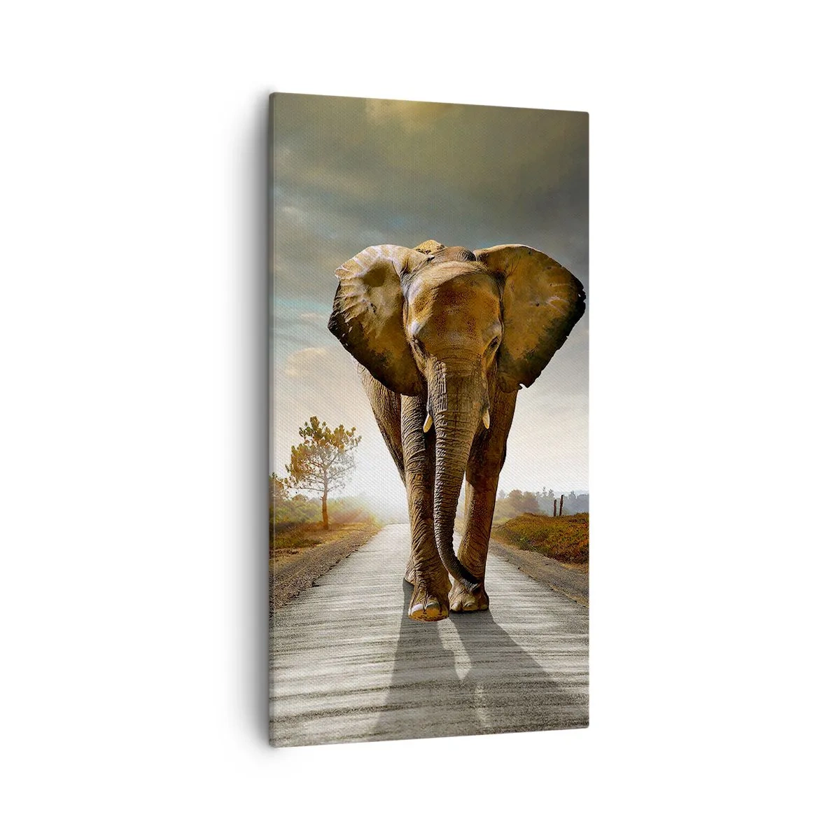 Quadro su tela - Stampe su Tela - E non nel negozio di cristalli - 55x100 cm