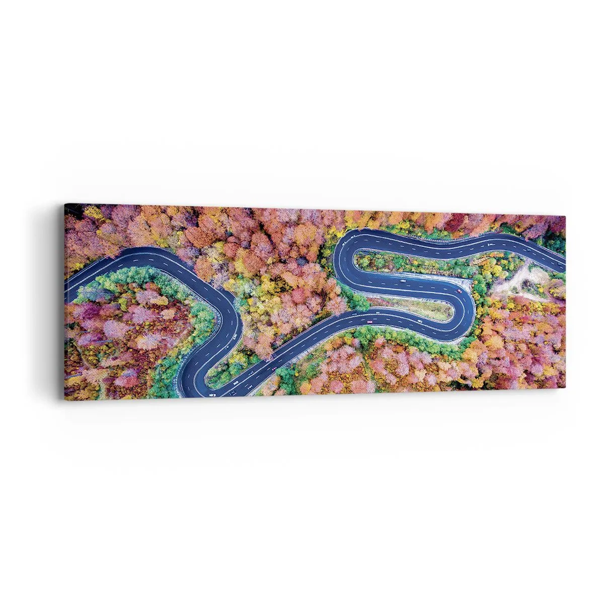 Quadro su tela - Stampe su Tela - Via tortuosa attraverso il bosco - 90x30 cm