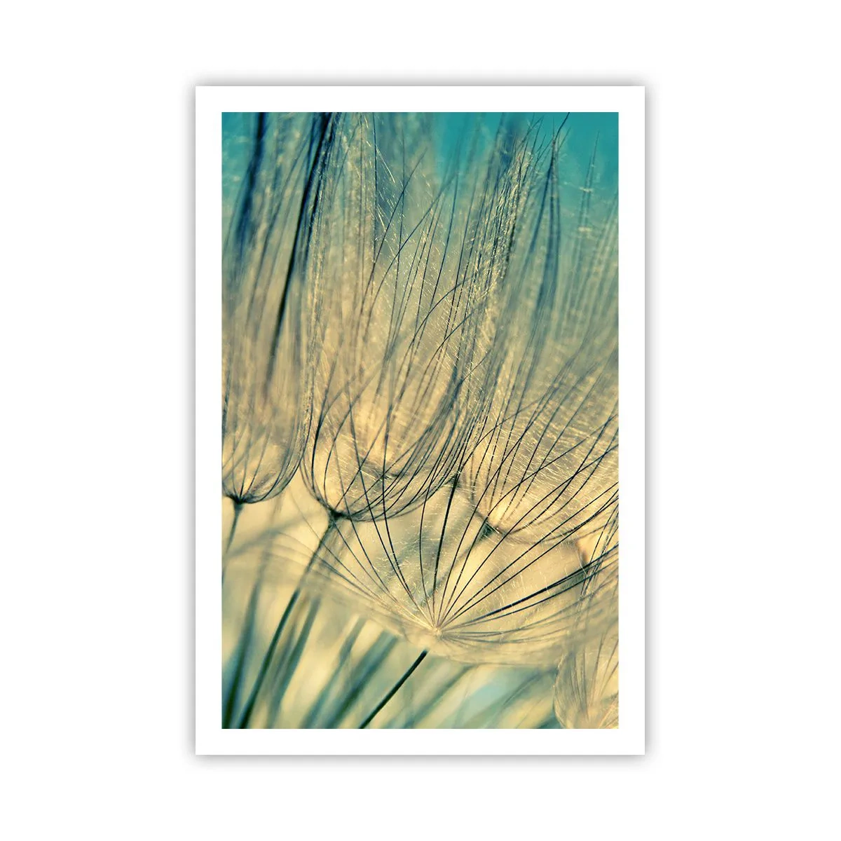 Poster - Aspettando il vento - 61x91 cm