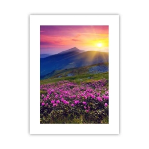 Poster - Odore di mugo e profumo di erbe - 30x40 cm