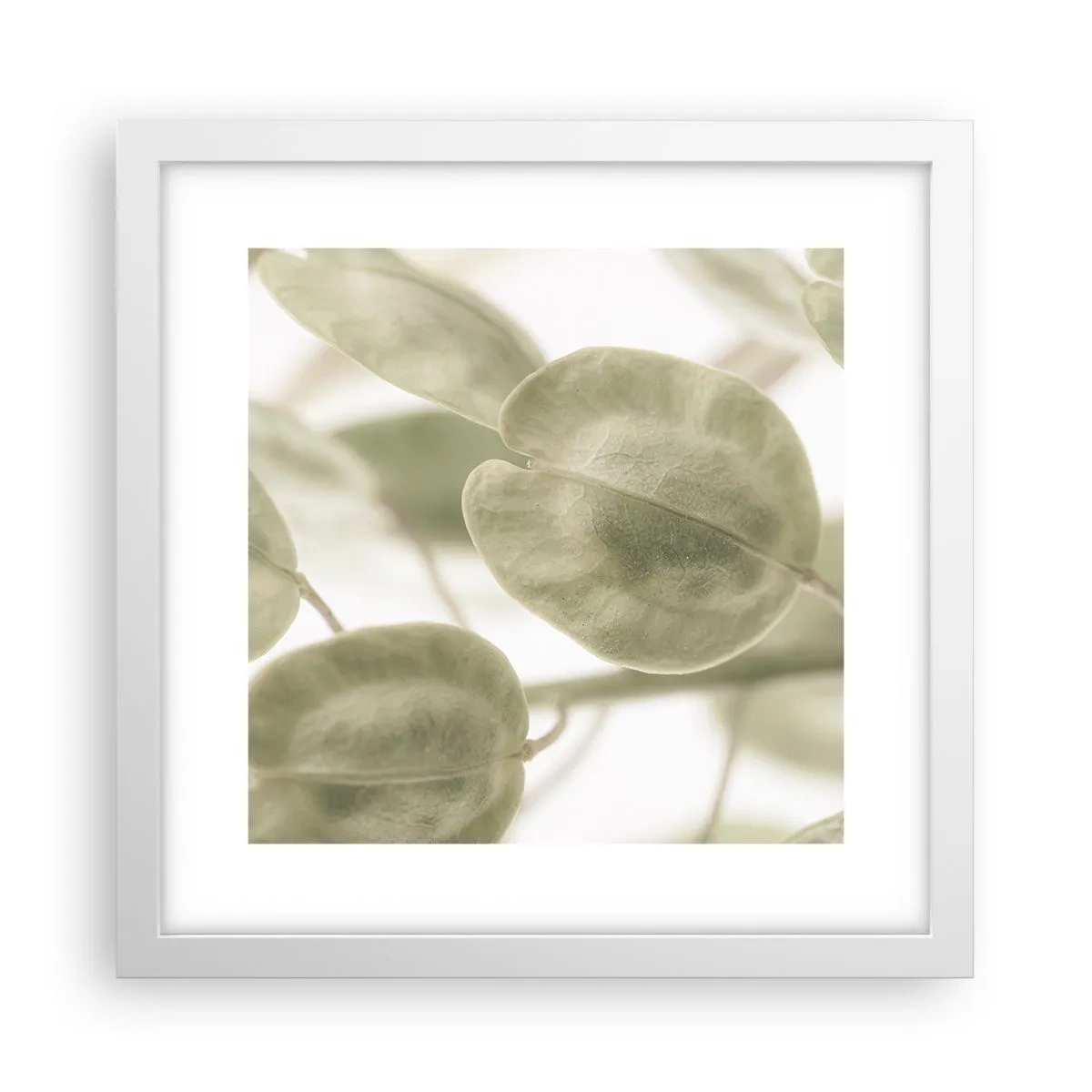 Poster in cornice bianca - All'inizio vi erano le foglie... - 30x30 cm