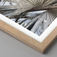 Rovere chiaro