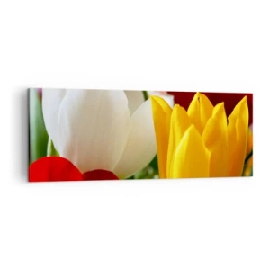 Quadro su tela - Stampe su Tela - Primo piano di tulipani colorati su uno sfondo primaverile - 140x50cm - La febbre dei tulipani - Decorazione murale moderna per soggiorno e camera da letto ARTTOR