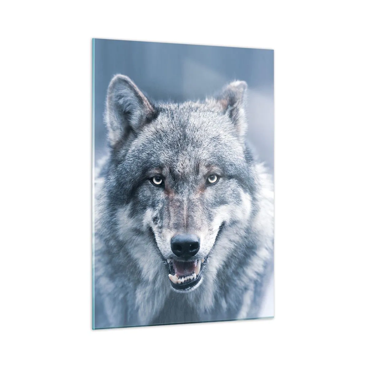 Quadro su vetro - Un lupo dallo sguardo penetrante sullo sfondo di una foresta innevata - 50x70cm - Accetti la sfida? - Decorazione murale moderna per soggiorno e camera da letto ARTTOR