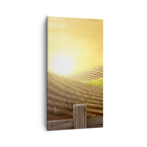 Quadro su tela - Stampe su Tela - La fattoria delle favole - 55x100 cm