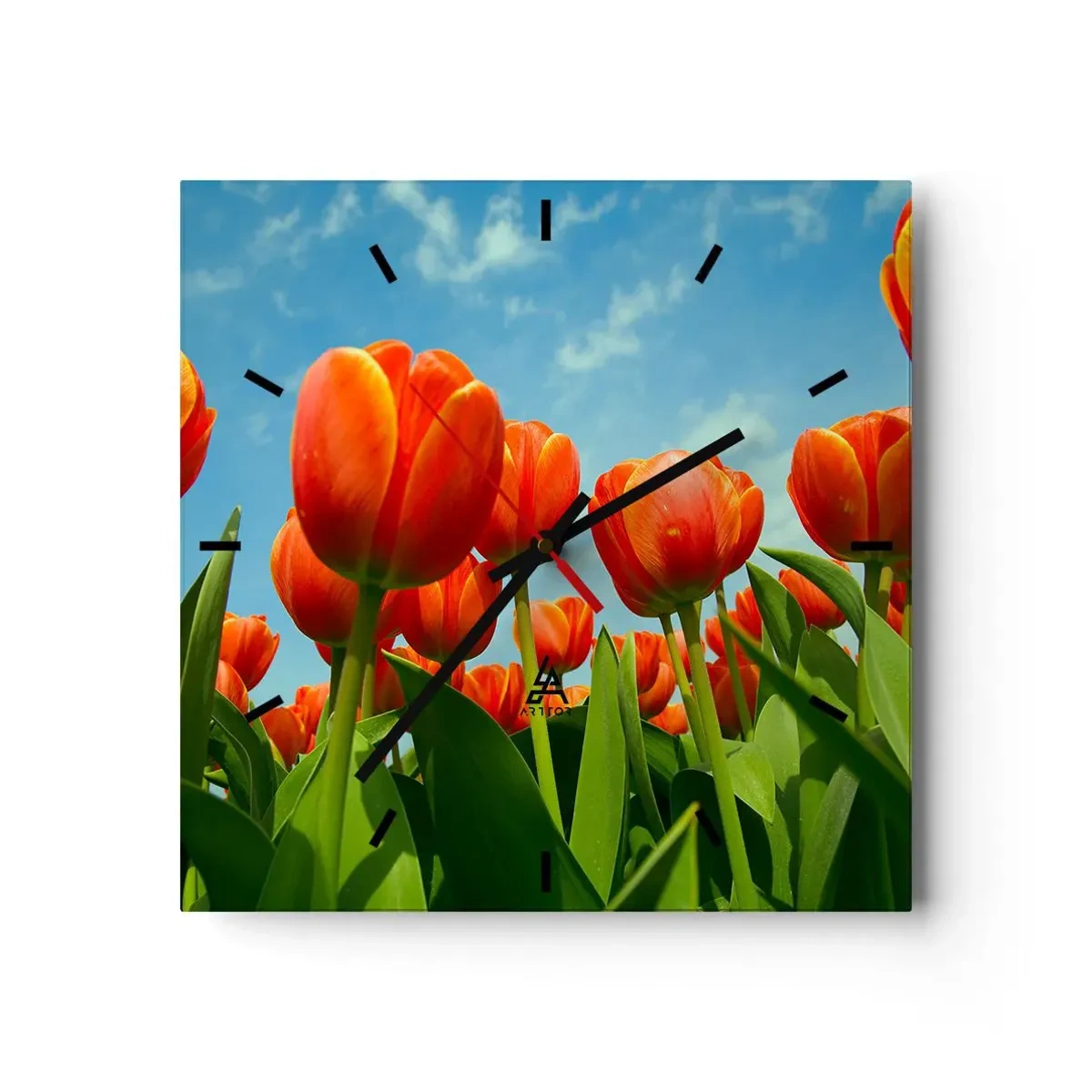 Orologio da parete - Orologio in Vetro - Un campo di tulipani rossi e arancioni contro un cielo blu - 30x30cm - A loro non serve nulla oltre al cielo azzurro - Decorazione murale moderna per soggiorno e camera da letto ARTTOR