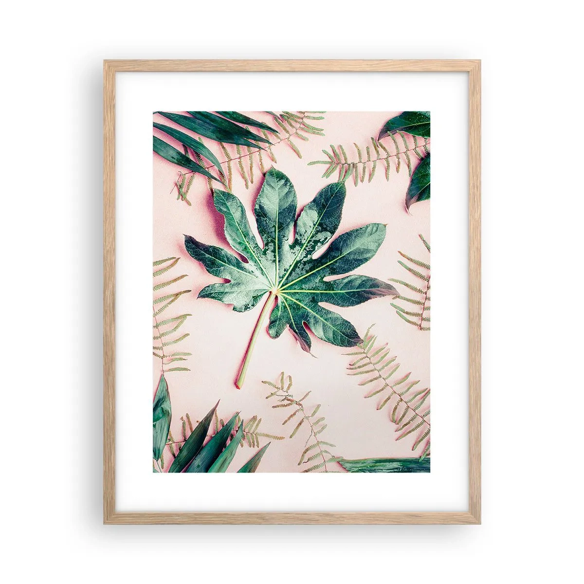 Poster in cornice rovere chiaro - Studio di verde su sfondo rosa - 40x50 cm