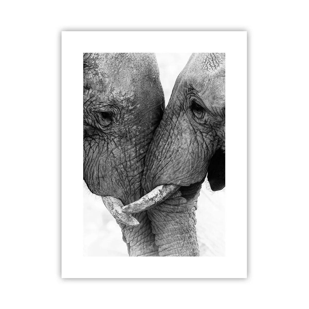Poster - Dichiarazione sincera - 30x40 cm