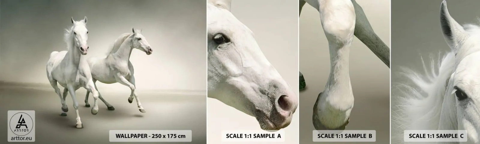 Campione di Fotomurale Adesivo Deluxe Sticker - White power! - Animali, Cavalli, Natura - 100x30 cm