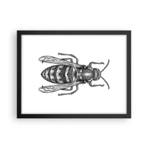 Poster in cornice nera - Dal pianeta degli insetti - 40x30 cm
