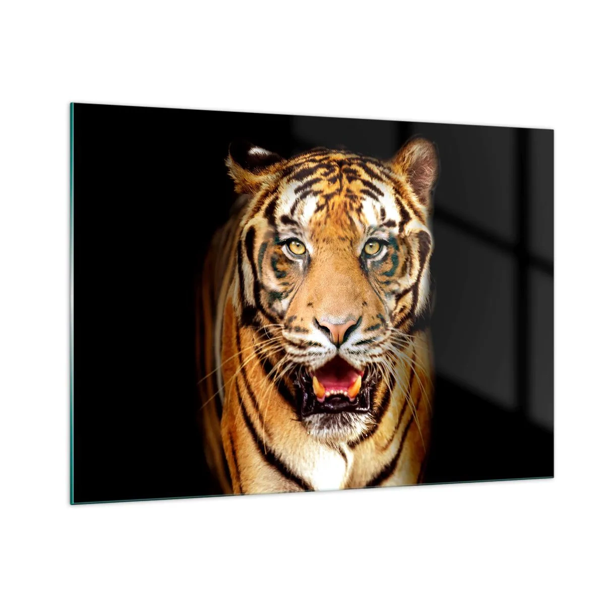 Quadro su vetro - Una tigre su uno sfondo scuro con uno sguardo intenso - 100x70cm - Cuore selvatico - Decorazione murale moderna per soggiorno e camera da letto ARTTOR