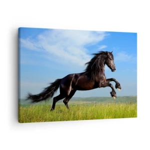 Quadro su tela - Stampe su Tela - Un cavallo nero che corre contro un cielo azzurro e un prato verde - 70x50cm - Coinvolgente manifesto di libertà - Decorazione murale moderna per soggiorno e camera da letto ARTTOR