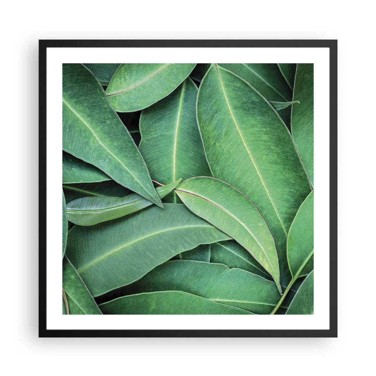 Poster in cornice nera - Succosi e freschi - 60x60 cm