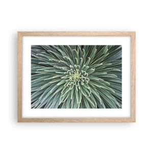 Poster in cornice rovere chiaro - La nascita delle stelle - 40x30 cm