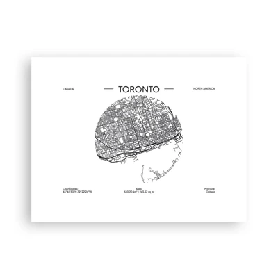 Poster - Anatomia di Toronto - 40x30 cm