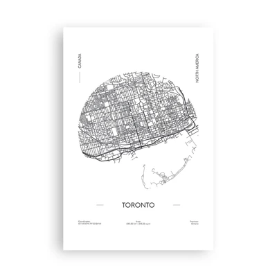 Poster - Anatomia di Toronto - 61x91 cm