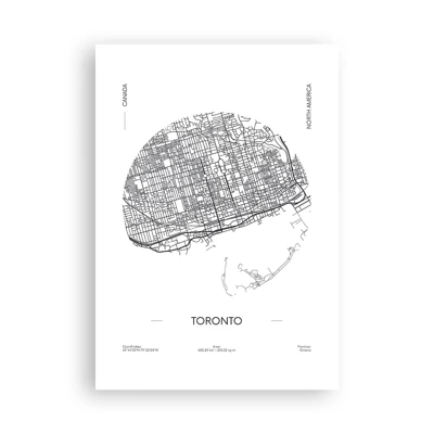 Poster - Anatomia di Toronto - 70x100 cm