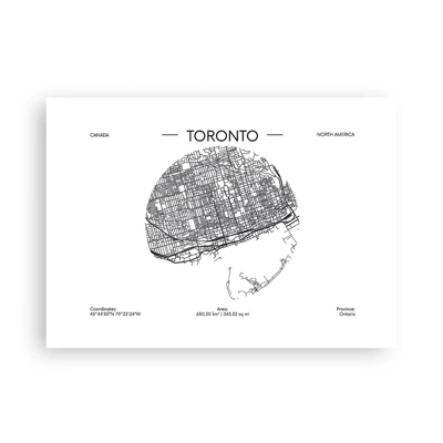 Poster - Anatomia di Toronto - 70x50 cm