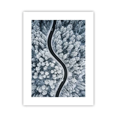 Poster - Attraverso il bosco invernale - 30x40 cm