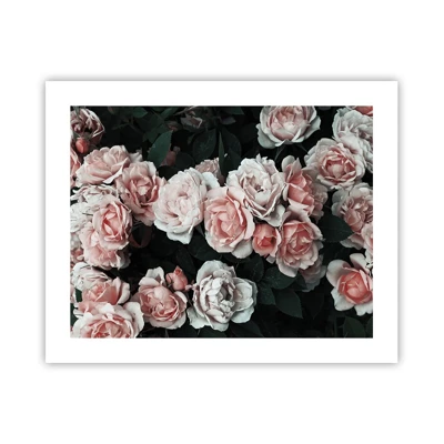 Poster - Composizione di rose - 50x40 cm