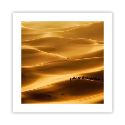 Poster - La carovana sulle onde del deserto - 40x40 cm