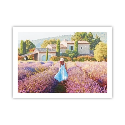 Poster - La ragazza nella lavanda - 70x50 cm