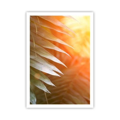 Poster - L'alba nella giungla - 70x100 cm