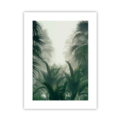 Poster - Mistero dei tropici - 30x40 cm