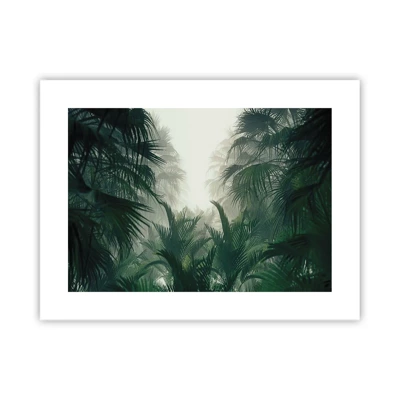 Poster - Mistero dei tropici - 40x30 cm