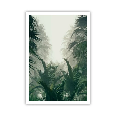 Poster - Mistero dei tropici - 70x100 cm