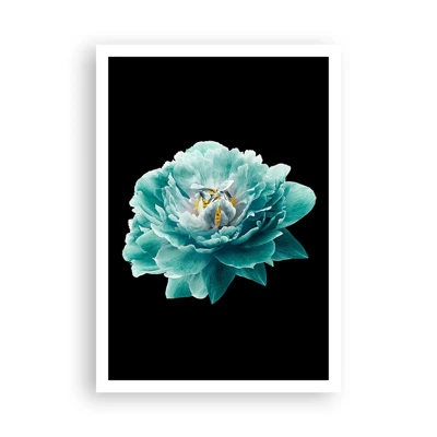 Poster - Petali blu e oro - 70x100 cm