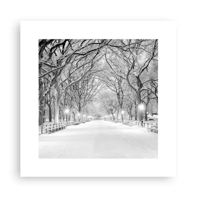 Poster - Quattro stagioni: l'inverno - 30x30 cm