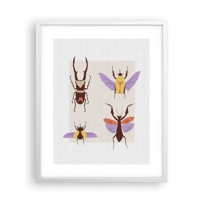 Poster in cornice bianca - Il mondo degli insetti - 40x50 cm
