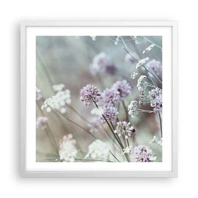 Poster in cornice bianca - Le dolci filigrane delle erbe - 50x50 cm