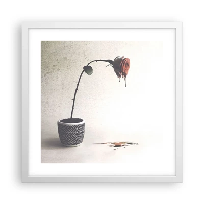Poster in cornice bianca - Rosa dolorosa - 40x40 cm