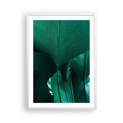 Poster in cornice bianca - Verso la luce - 50x70 cm