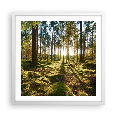 Poster in cornice bianca - …dopo sette foreste - 50x50 cm