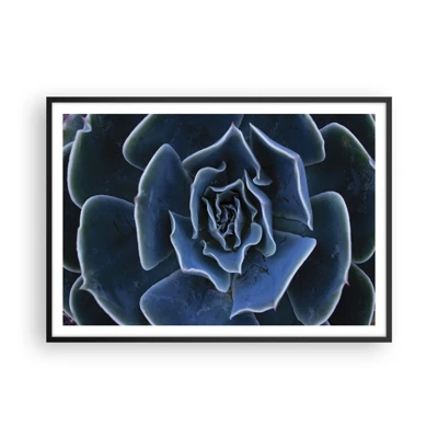 Poster in cornice nera - Fiore del deserto - 100x70 cm