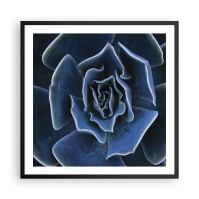 Poster in cornice nera - Fiore del deserto - 60x60 cm