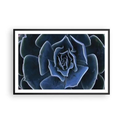 Poster in cornice nera - Fiore del deserto - 91x61 cm