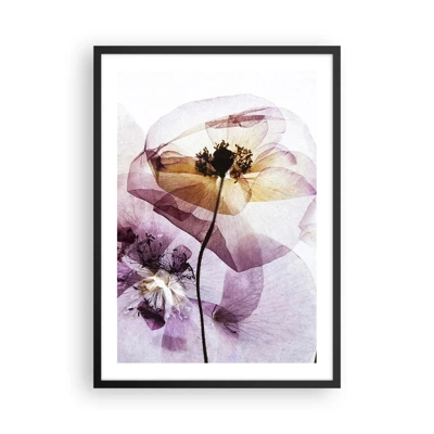 Poster in cornice nera - Fiori trasparenti - 50x70 cm