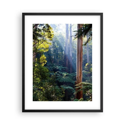 Poster in cornice nera - La favola del bosco - 40x50 cm
