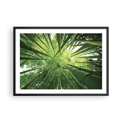 Poster in cornice nera - Nella foresta di bambù - 70x50 cm