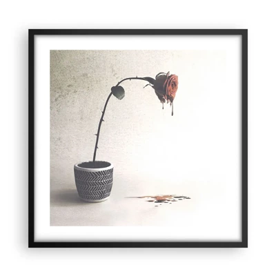 Poster in cornice nera - Rosa dolorosa - 50x50 cm