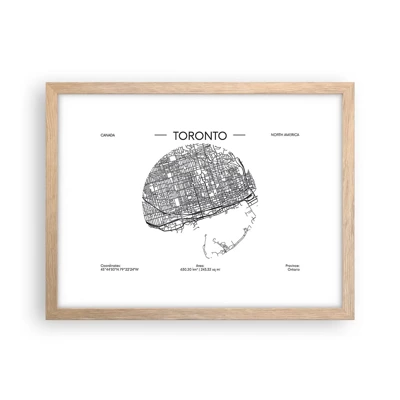 Poster in cornice rovere chiaro - Anatomia di Toronto - 40x30 cm